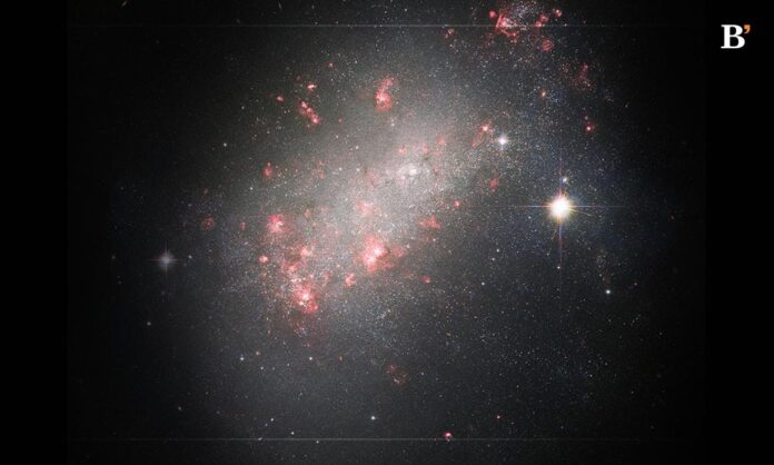 Hubble Captures a Galactic Marvel Morphology